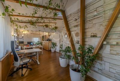 Casă individuală cu 9 camere cu Piscina în Sub Arini - 19