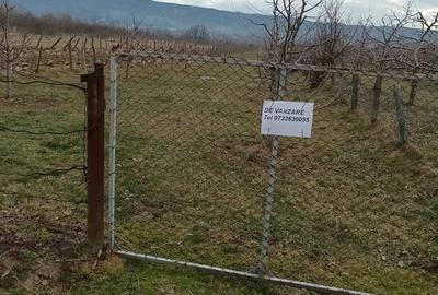 Teren de 2500 mp, în Dragodănești - 1