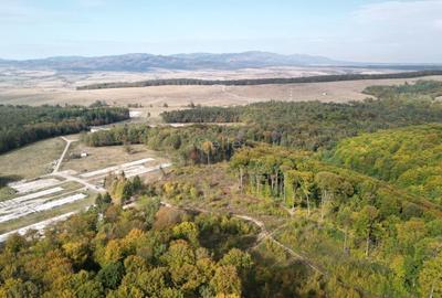 Teren Intravilan - Amplasare Unica - 37