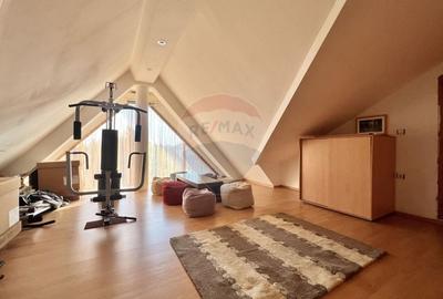 Casa atipica, spatioasa si versatila in comuna Pasarea (Branesti) - 24
