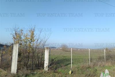 Super teren intravilan (Lot 1) la  DJ 101, loc. Gruiu IF, ideal pentru dezvoltat - 7