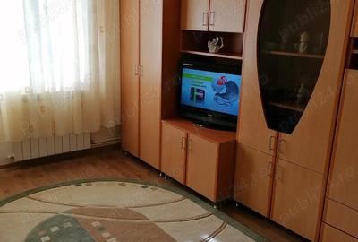 Garsoniera in vila cu centrala termica Baba Novac Fildesului - 2