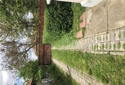 Teren cu iesire la lac si casa in stil brancovenesc - 7