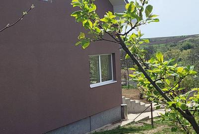 Casă cu 5 camere cu Teren 5400 Mp în Băleasa - 2