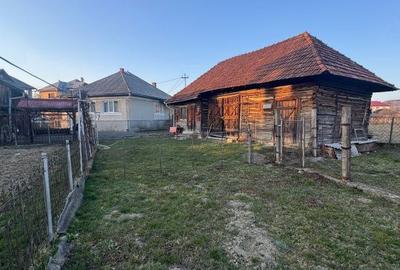 Casă cu 3 camere cu Teren 4000 Mp în Central - 1