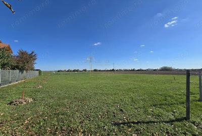 Teren Vetis, 2 parcele de 800mp , zona linistita cu strada asfaltata - 2