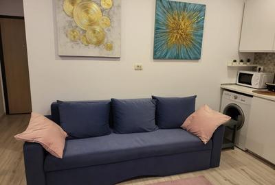 De inchiriat apartament 2 camere - Parcul Carol - 16