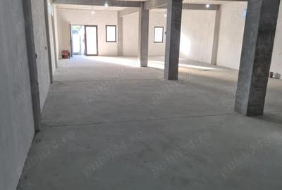 Casă cu Teren 480 Mp în Lumina - 7