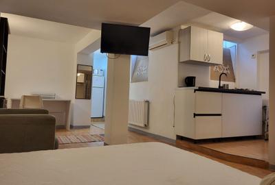 Garsonieră decomandată în 13 Septembrie - 7