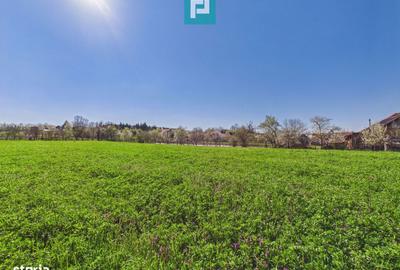 Teren de 3024 mp, în Almaș - 3