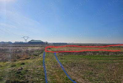 Teren de 8000 mp, în Șimnicu de Sus - 2