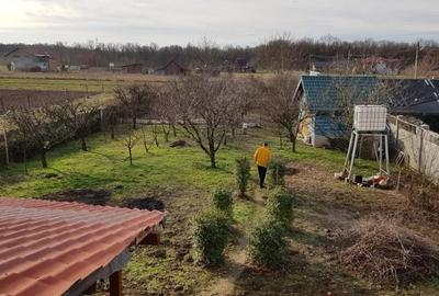 Casă cu 5 camere cu Teren 2305 Mp în Lăpuș - 7