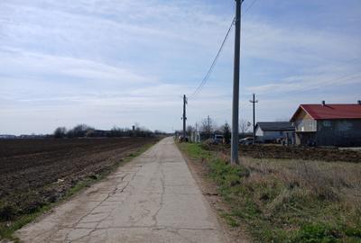 Teren intravilan 16400 mp, Balotesti-Saftica - 50 euro/m2