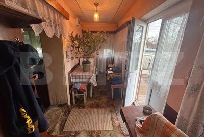 Casa, Comuna Apa ,Sat Someseni, 50mp, 17 ari teren - 5