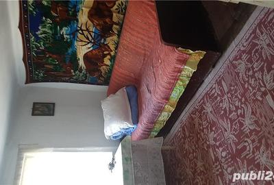 Casă cu 5 camere cu Teren 870 Mp în Bistrețu - 1