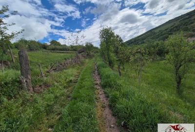 Teren intravilan de vanzare in Metes - Ampoita - 4