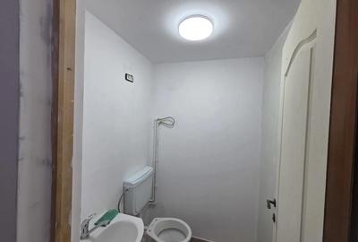 Casă cu Teren 1850 Mp în Mitreni - 3