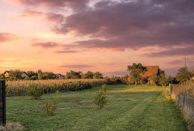 Teren Construcții intravilan de 1788 mp, în Sânpetru - 2