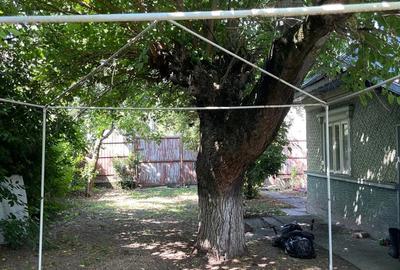 Teren cu casa in comuna Iepuresti, judetul Giurgiu - 2