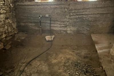 Casă cu 3 camere în Aciliu - 1