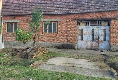 Casă individuală cu 6 camere cu Teren 1129 Mp în Berliște - 16