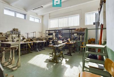 Spațiu industrial, de 445 mp, în Aradul Nou - 8