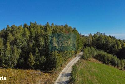 Teren de 1000 mp, în Băișoara - 10