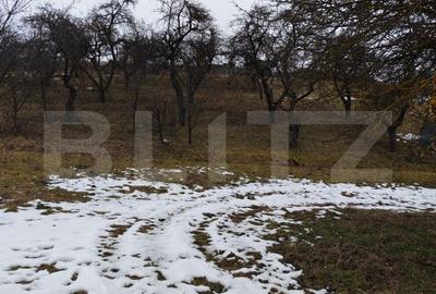 Spațiu comercial, în Cheia - 6