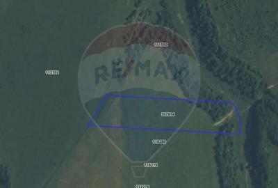 Teren de 10800 mp, în Râșnov - 15