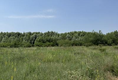 Domnesti, strada Salciei, teren intravilan 500?mp x 2 loturi - 2