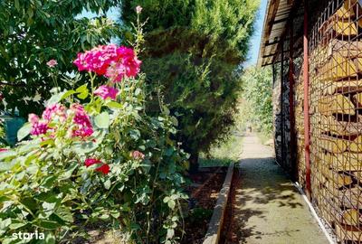 Casă cu 6 camere cu Teren 638 Mp în Pădureni - 13