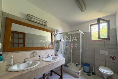 Hala si teren 2,5 ha - infrastructura industriala - 11