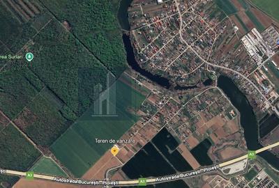 Teren agricol extravilan de 2095 mp, în Moara Vlăsiei - 2
