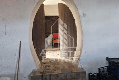 Casa individuala cu 3 camere ,teren 4222 mp in exclusivitate Dorobanti - 11