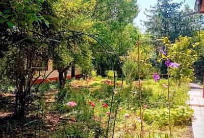 Duplex cu 5 camere cu Canalizare în Cunești - 2