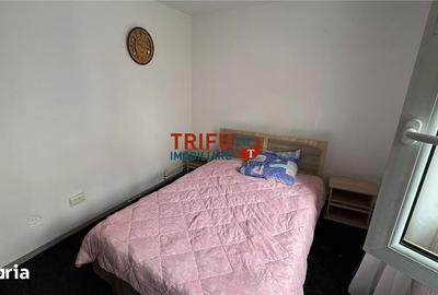 Apartament cu 2 camere semidecomandat în Cetate - 5