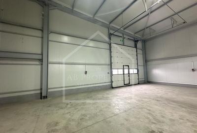 Ultima HALA  depozit/hala/spatiu industrial 2025, CHITILA - TOP DEAL - 6