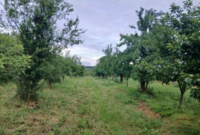 Teren de 1150 mp, în Exterior Vest - 3
