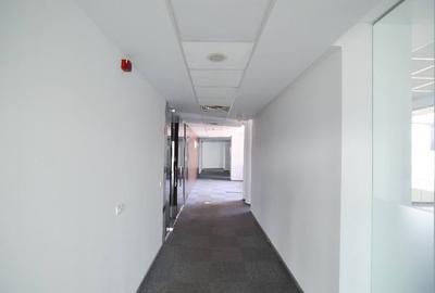 Grand Offices
, Floreasca, 317 mp  0% comision! - 13