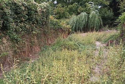 Potigrafu, Crivina - 4