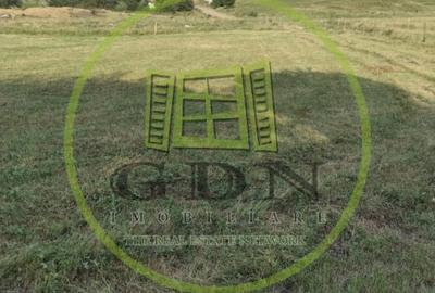 Teren agricol extravilan de 2000 mp, în Rusciori - 1