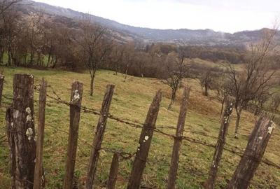 Teren de 2500 mp, în Urseiu - 4