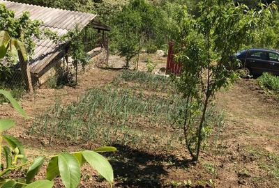 Casă în Aurel Vlaicu - 7