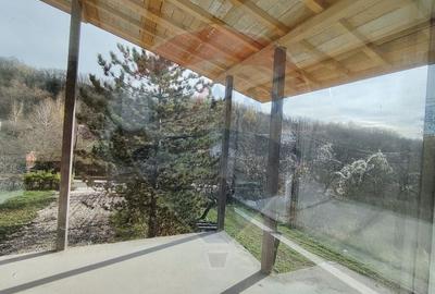 Proprietate premium, intimitate, liniste in Gura Vaii 4000 mp teren - 19