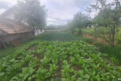 Casă cu Teren 1104 Mp în Poienari - 2