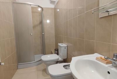 Apartament cu 3 camere decomandat, mobilat în Nicolina - 9