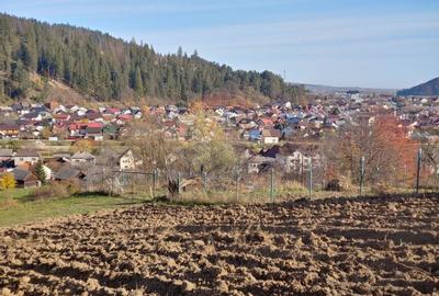 Teren cu suprafata de 3360 mp in Gura Humorului-Toaca-Boureni - 7