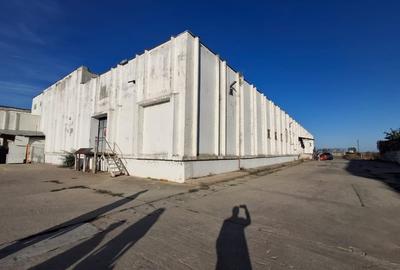 Spațiu industrial, de 500 mp, în Glina - 3