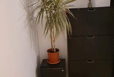 Garsonieră decomandată în Basarabia - 1