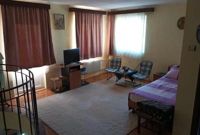 De vanzare casa mare , zona Brancoveanu, suprafata utile 350 mp - 28